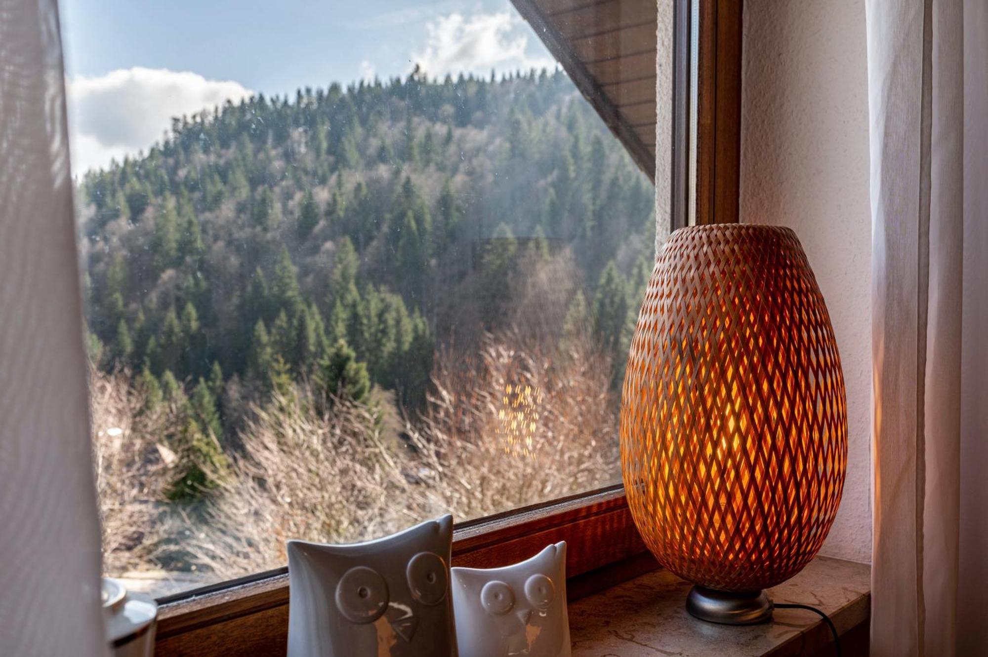 Апартаменти Haus Akelei Тодтмос Екстер'єр фото