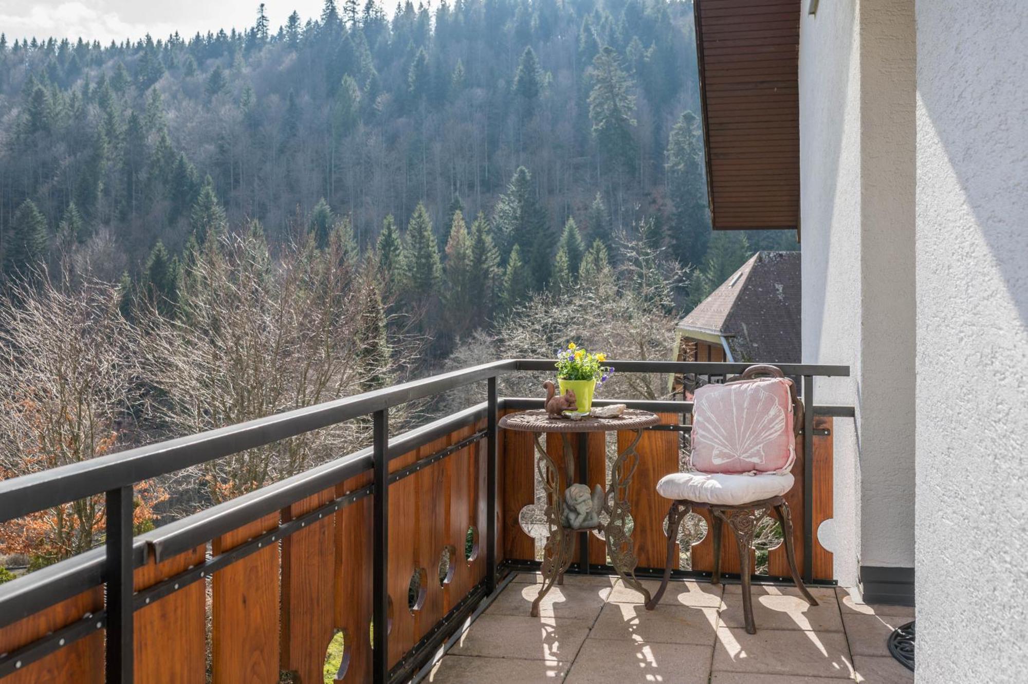 Апартаменти Haus Akelei Тодтмос Екстер'єр фото
